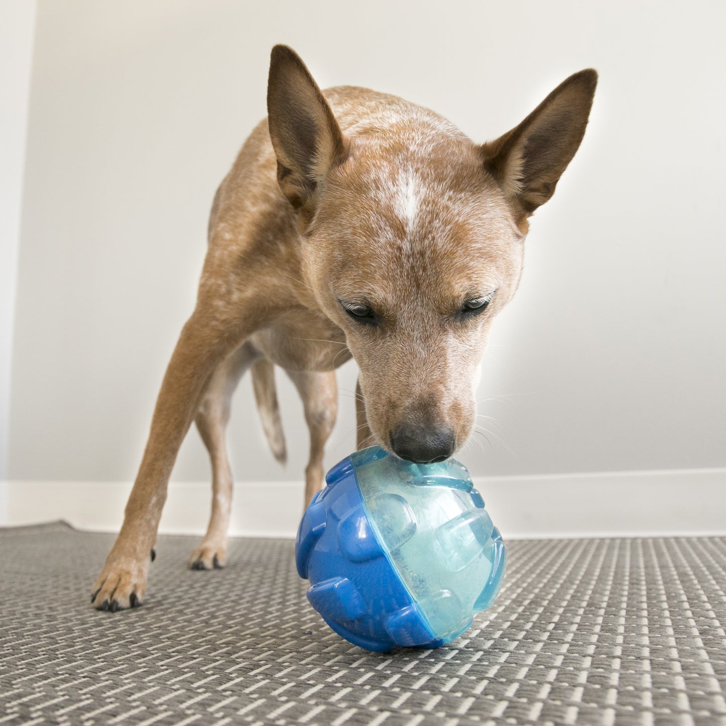 KONG - Rewards ball - Large