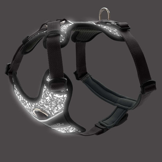 Hunter - Divo reflekt sele