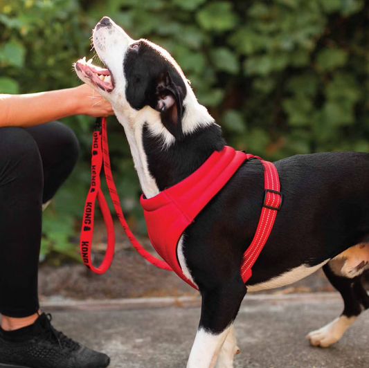 KONG - Komfort sele - Rød