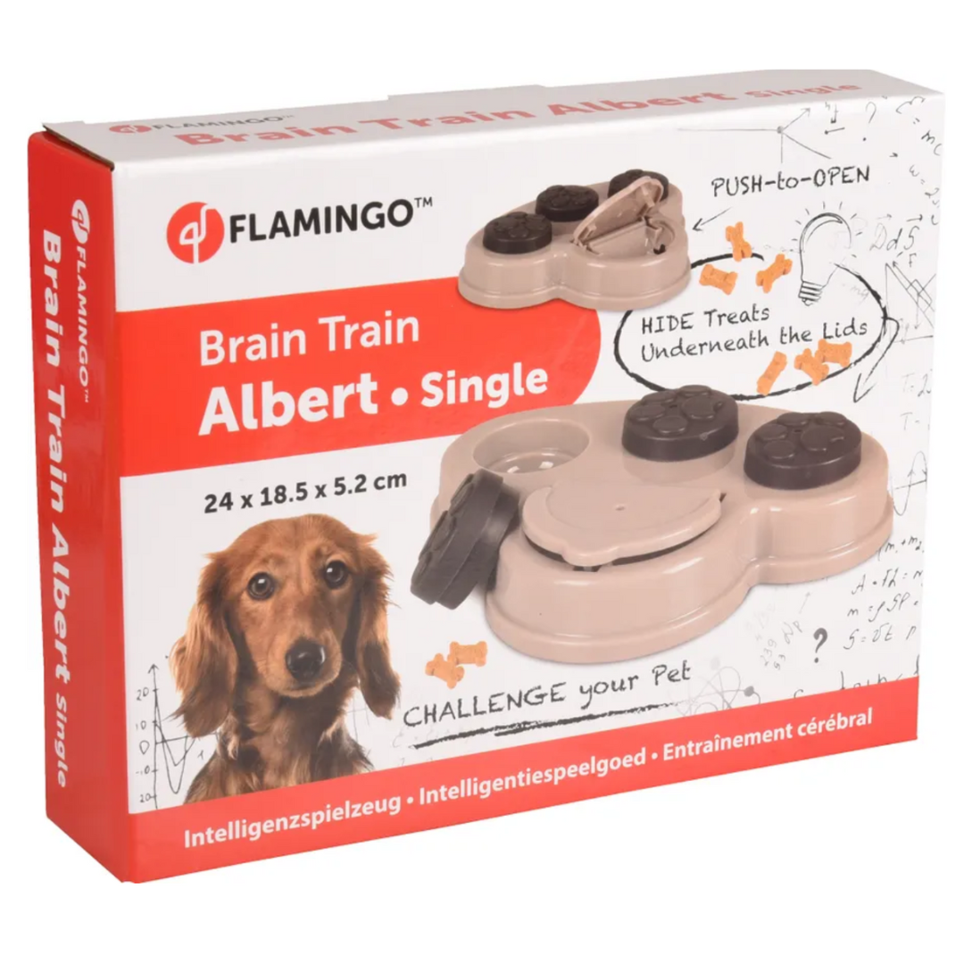 Flamingo - Albert brain train